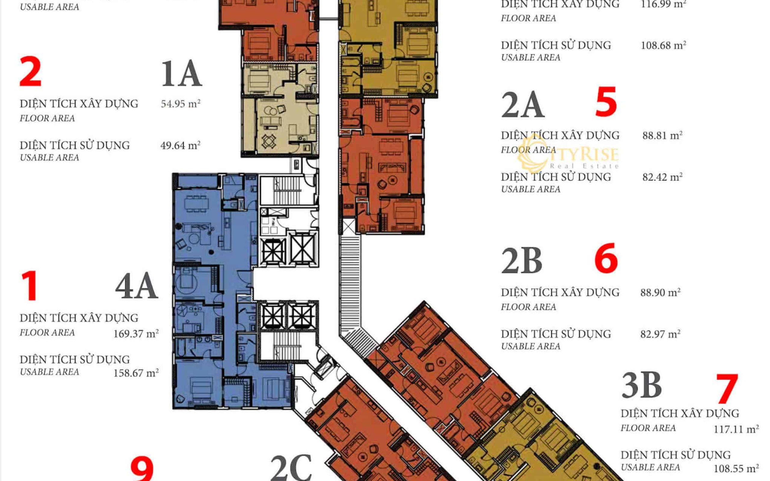 Mat Bang Can Ho Maldives Dao Kim Cuong Tp Thu Duc City Rise